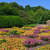 North Carolina Arboretum